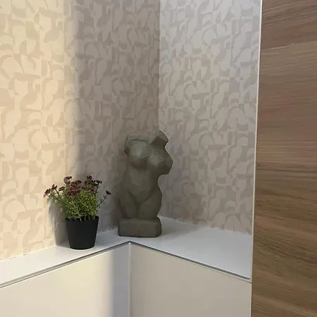 Apartment Visit 3 *